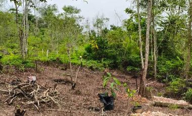 Dijual Tanah Kavling 198 M2 Lokasi Jalan Penghubung Transad - Stadion Batakan Balikpapan