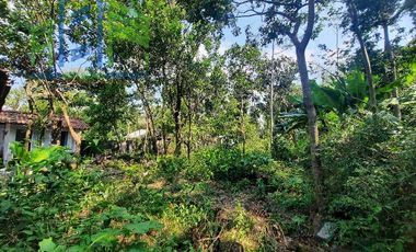 Dijual Tanah dan bangunan luas pinggir jalan aspal di Boyolali Kota