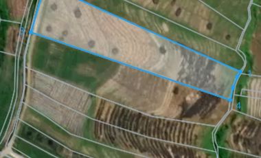 Tanah 45 Are View Sawah Di Tibu Biyu Dkt Pantai Pasut Tabanan Bali