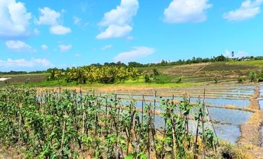Tanah 45 Are View Sawah Di Tibu Biyu Dkt Pantai Pasut Tabanan Bali