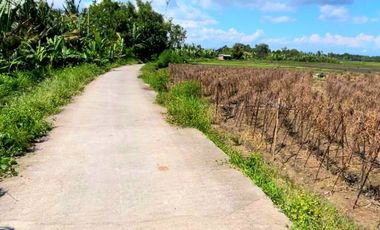 Tanah 45 Are View Sawah Di Tibu Biyu Dkt Pantai Pasut Tabanan Bali