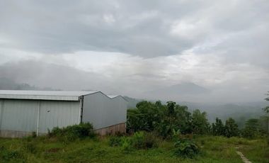 Ex pabrik boyolali jawa tengah