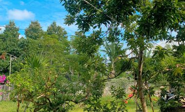 Rumah halaman luas di Sandik Lombok Barat