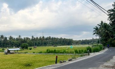 Tanah Lombok Barat 650 M² di Gunung Sari T699