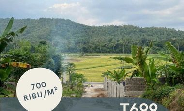 Tanah Lombok Barat 650 M² di Gunung Sari T699