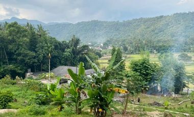 Tanah Lombok Barat 650 M² di Gunung Sari T699