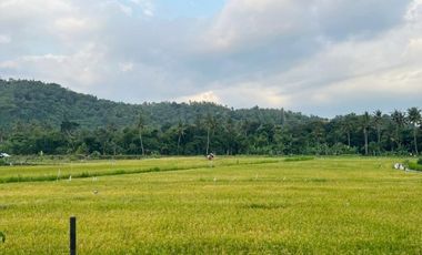 Tanah Lombok Barat 650 M² di Gunung Sari T699