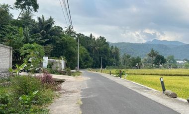 Tanah Lombok Barat 650 M² di Gunung Sari T699