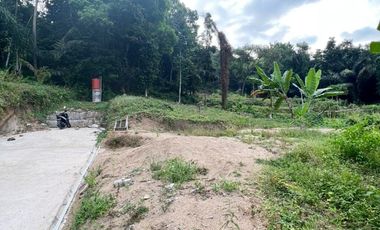 Tanah Lombok Barat 650 M² di Gunung Sari T699