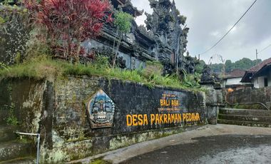 TANAH KEBUN DURIAN & MANGGIS DI PUPUAN BALI