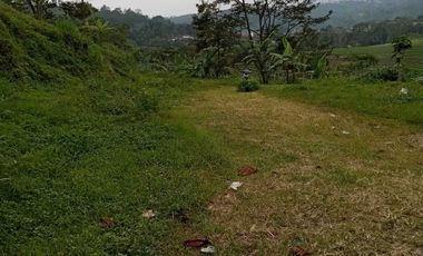 Dusun duyung trawas mojokerto