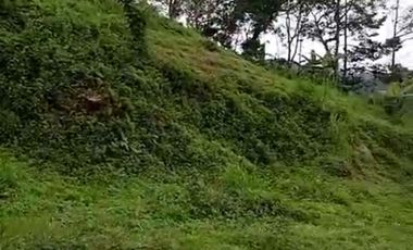 Dusun duyung trawas mojokerto