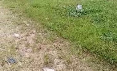 Dusun duyung trawas mojokerto