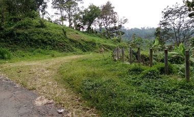 Dusun duyung trawas mojokerto