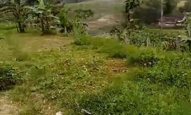 Dusun duyung trawas mojokerto