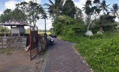 DIJUAL TANAH KAVLING VIEW SAWAH MENGWI