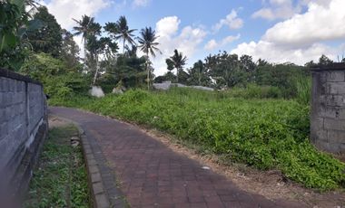 DIJUAL TANAH KAVLING VIEW SAWAH MENGWI