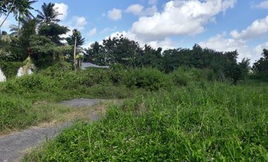 DIJUAL TANAH KAVLING VIEW SAWAH MENGWI