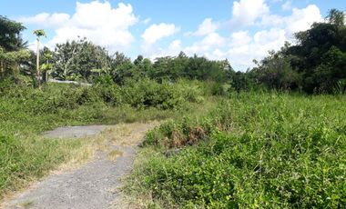 DIJUAL TANAH KAVLING VIEW SAWAH MENGWI