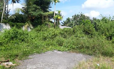 DIJUAL TANAH KAVLING VIEW SAWAH MENGWI