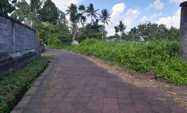 DIJUAL TANAH KAVLING VIEW SAWAH MENGWI
