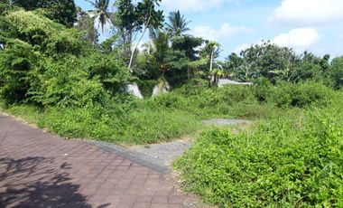 DIJUAL TANAH KAVLING VIEW SAWAH MENGWI