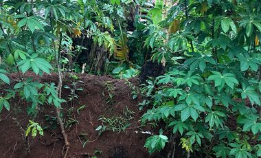 Dijual Tanah dekat rencana pintul tol sawangan 2 dan 3 jl H Sulaeman