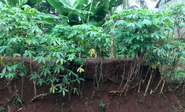 Dijual Tanah dekat rencana pintul tol sawangan 2 dan 3 jl H Sulaeman