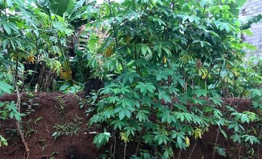 Dijual Tanah dekat rencana pintul tol sawangan 2 dan 3 jl H Sulaeman