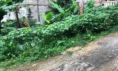 Dijual Tanah dekat rencana pintul tol sawangan 2 dan 3 jl H Sulaeman