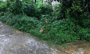 Dijual Tanah dekat rencana pintul tol sawangan 2 dan 3 jl H Sulaeman