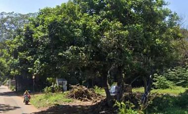 Dijual Tanah / Kavling sebelah Gading Serpong