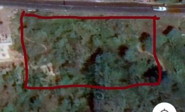 TANAH VIEW GUNUNG & DANAU BATUR KINTAMANI