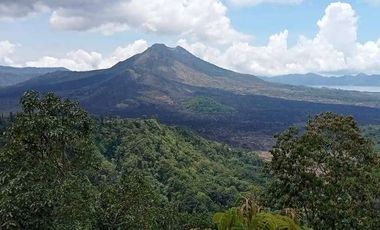 TANAH VIEW GUNUNG & DANAU BATUR KINTAMANI
