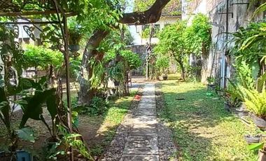 Rumah Bagus Siap Huni Tanah Luas Lokasi Kratonan Tengah Kota Solo