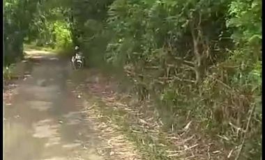 Tanah kebun Dijual di Lebak Cibadak Kota luas 2178 M2