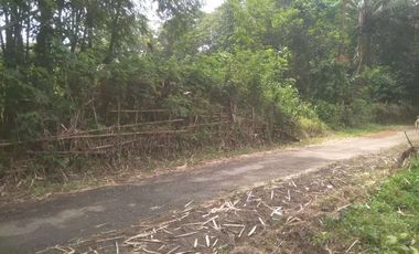 Tanah kebun Dijual di Lebak Cibadak Kota luas 2178 M2