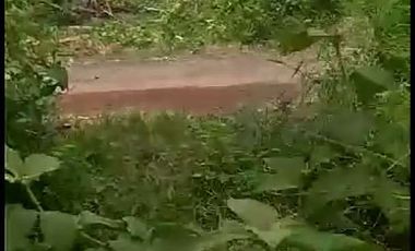 Tanah kebun Dijual di Lebak Cibadak Kota luas 2178 M2