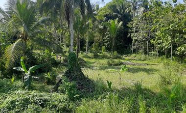 dijual tanah murah,pinggir jalan jogja-wates.timur polres kp