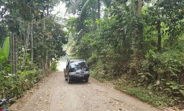 Tanah Dijual Di Pandeglang kota, 1 Ha cocok untuk perumahan flpp