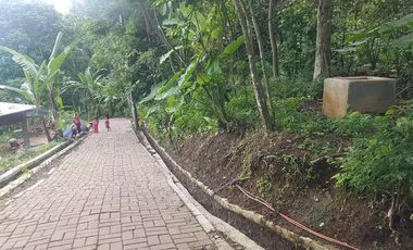 Tanah Dijual di Pandeglang View city keren cocok untuk bikin villa