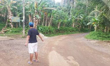 Tanah Dijual di Pandeglang View city keren cocok untuk bikin villa