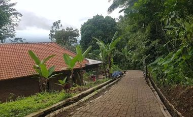 Tanah Dijual di Pandeglang View city keren cocok untuk bikin villa