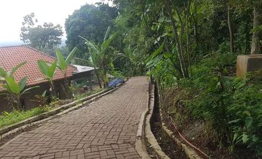 Tanah Dijual di Pandeglang View city keren cocok untuk bikin villa