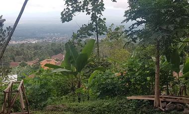 Tanah Dijual di Pandeglang View city keren cocok untuk bikin villa