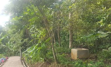 Tanah Dijual di Pandeglang View city keren cocok untuk bikin villa