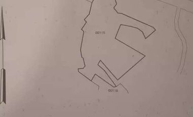 Tanah Murah Di jl Raya Rangkas Pandeglang Lahan yg cocok utk Gudang