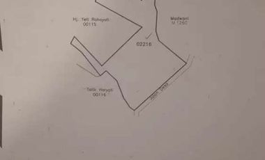 Tanah Murah Di jl Raya Rangkas Pandeglang Lahan yg cocok utk Gudang