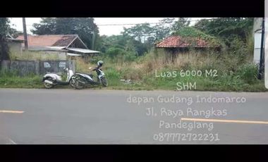 Tanah Murah Di jl Raya Rangkas Pandeglang Lahan yg cocok utk Gudang