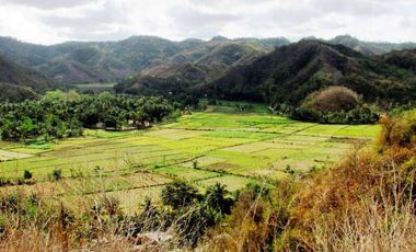 Land for sale Mawun Hill ,Central Lombok